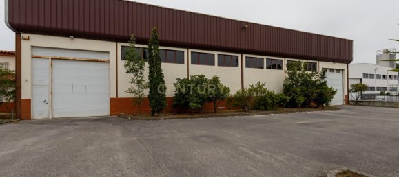  مستودع في Leiria, Portugal 3000متر مربع رقم 143228 42