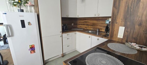 Studio in Baden, Austria No. 227867 4