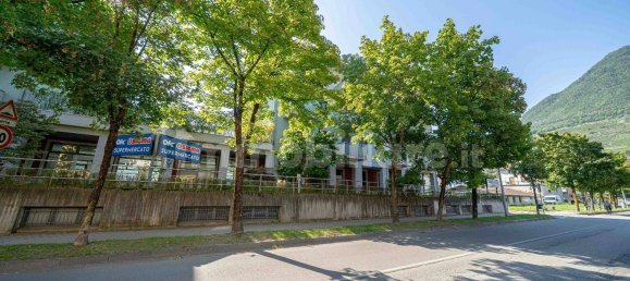 4-Zimmer Gewerbliche Immobilie in Sondrio, Italy, Nr. 337507 6