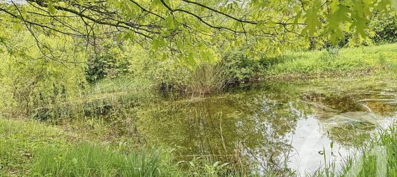 5 chambres Maison à Romorantin-Lanthenay, France No. 80887 3