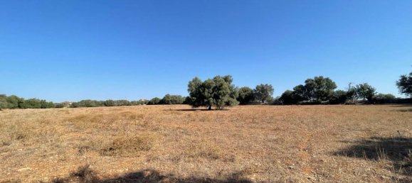 5 bedrooms House in Sant Llorenc Des Cardassar, Spain No. 285530 7