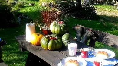 6 rooms House in St. Roman, Austria No. 157629