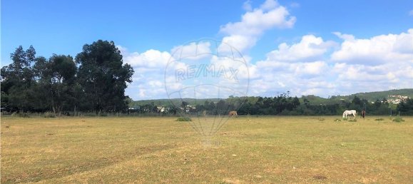 59195m² Land in Trofa, Portugal No. 54260 3