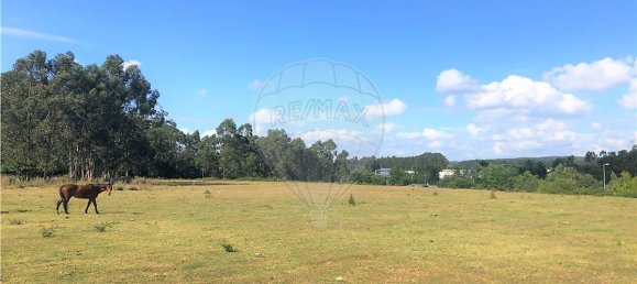 59195m² Land in Trofa, Portugal No. 54260 4