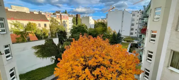 3 rooms Apartment in Wieden, Austria No. 207728 15