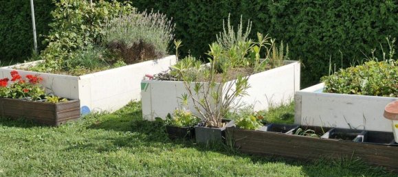 6 rooms House in Gussing, Austria No. 210450 9