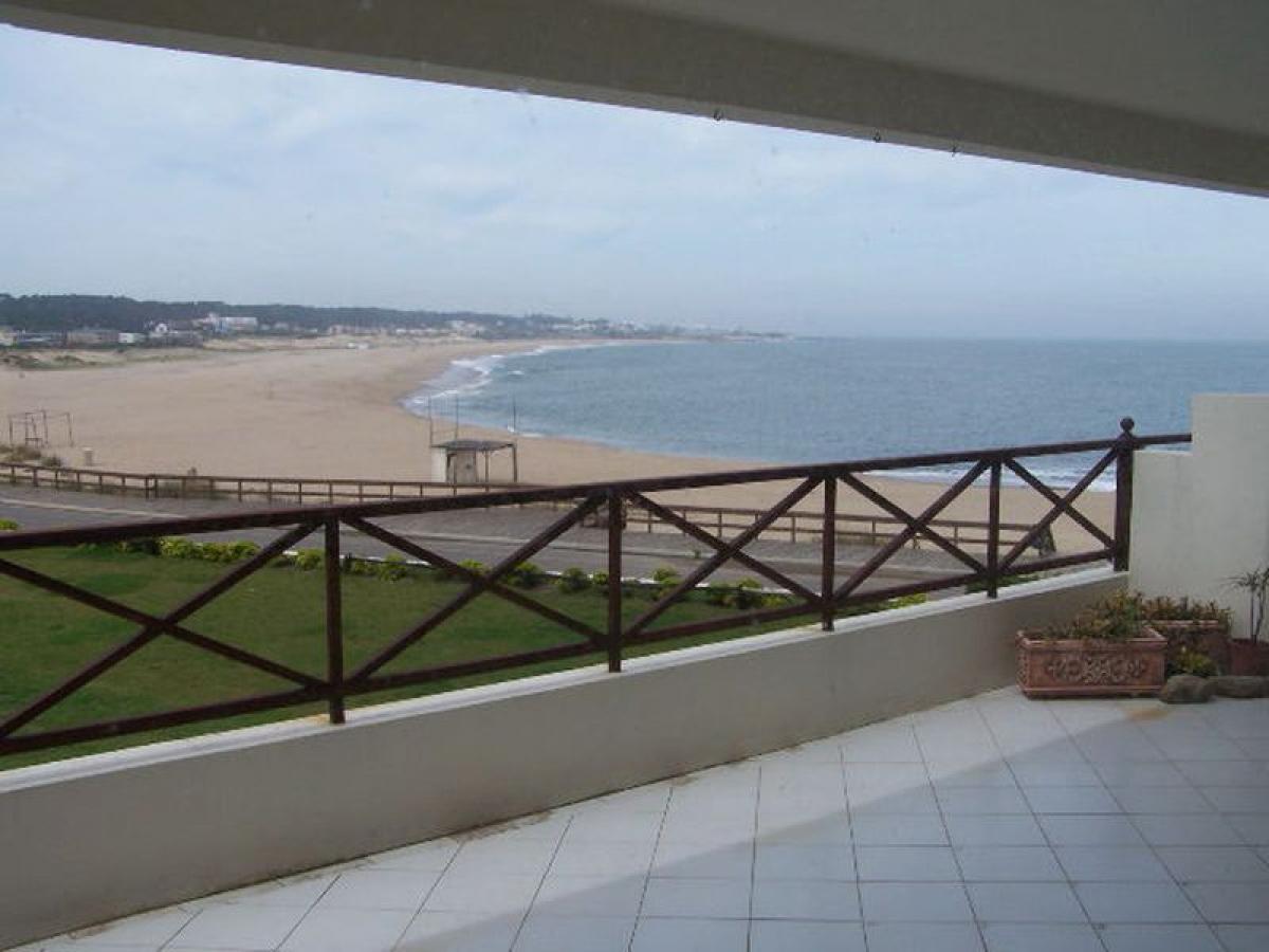 Studio in Maldonado, Uruguay No. 6231