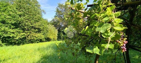3 chambres Villa à Pieve del Grappa, Italy No. 282198 7