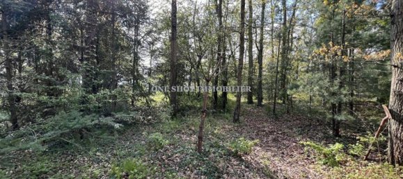 Земельный участок 1376м² в Сен-Дени-ан-Вал, Франция № 262603 2