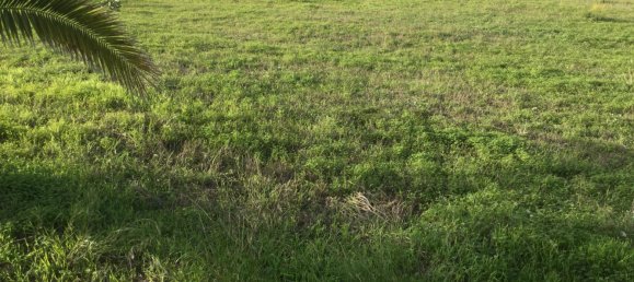 9 Schlafzimmer Villa in Vila do Bispo, Portugal, Nr. 126500 36