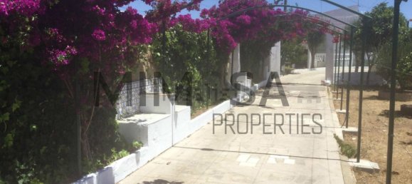 9 Schlafzimmer Villa in Vila do Bispo, Portugal, Nr. 126500 6