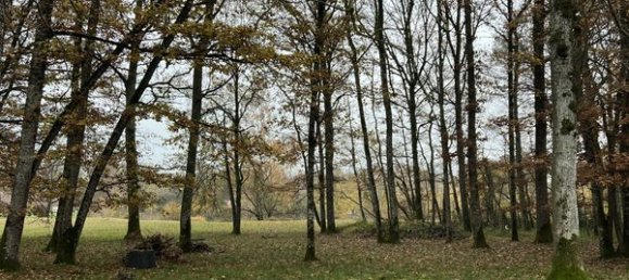 4 chambres Maison à Bazoches-sur-le-Betz, France No. 78862 12