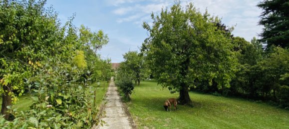 Terreno en Villeblevin, France No. 346463 3