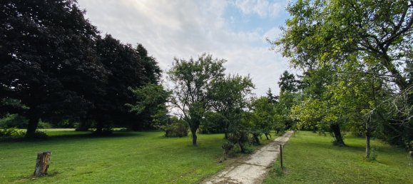 Terreno en Villeblevin, France No. 346463 5