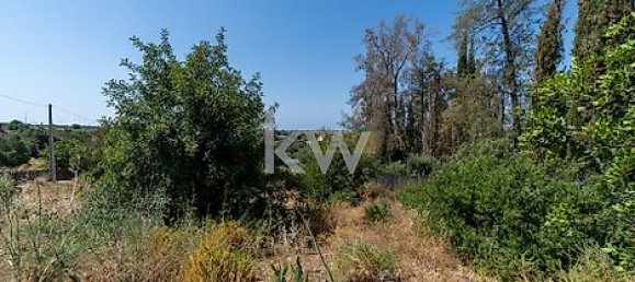  قطعة أرض في Almancil, Portugal 2060متر مربع رقم 37659 13