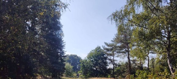 6 rooms House in Luneburg, Germany No. 347584 12