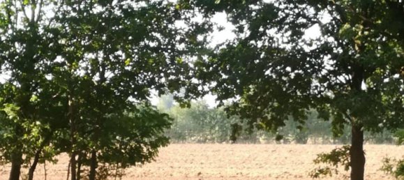 6 rooms House in Luneburg, Germany No. 347584 11