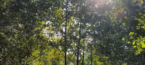 6 rooms House in Luneburg, Germany No. 347584 6