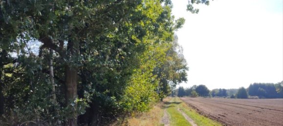 6 rooms House in Luneburg, Germany No. 347584 9