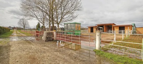 6 bedrooms Townhouse in Gunzburg, Germany No. 141562 18