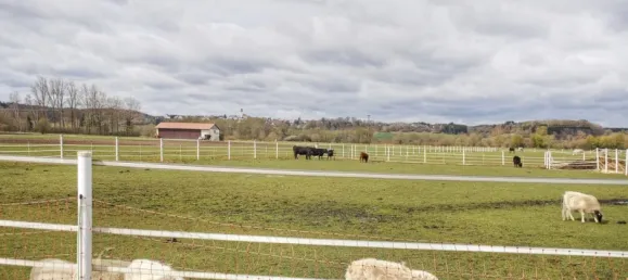 6 bedrooms Townhouse in Gunzburg, Germany No. 141562 19