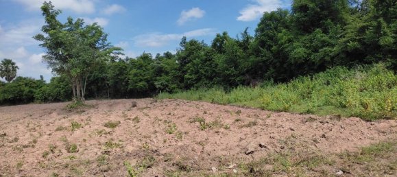 Земельный участок 41424м² в Накхонратчасима, Таиланд № 77642 6