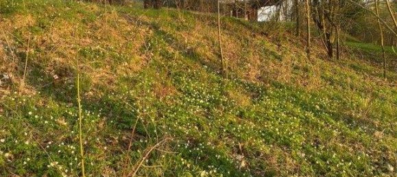  Land in Bavaria, Germany No. 367339 6