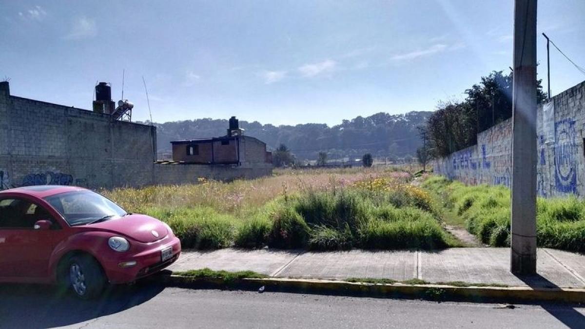  Land in Lerma, Mexico No. 205251