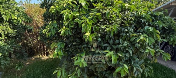 Casa de 3 dormitorios en Córdoba, Spain No. 141827 8