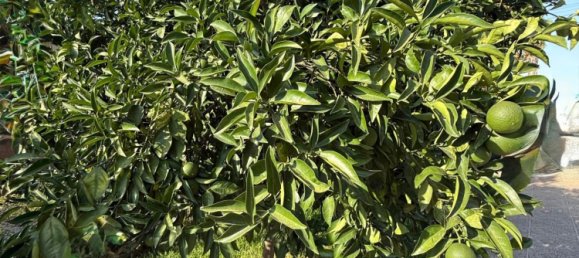 Casa de 3 dormitorios en Córdoba, Spain No. 141827 9