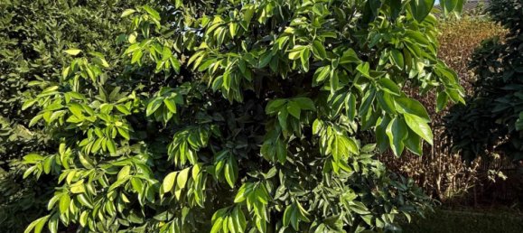 Casa de 3 dormitorios en Córdoba, Spain No. 141827 11