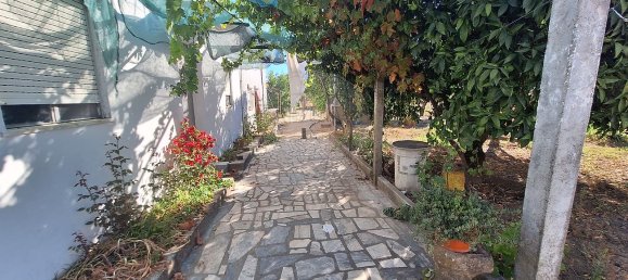 4 غرف نوم منزل في Castelo Branco, Portugal رقم 43868 11