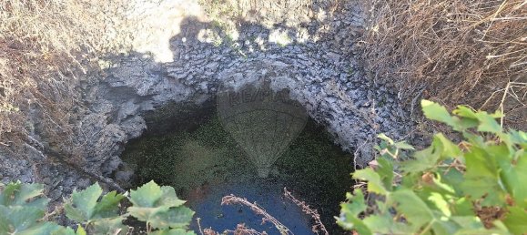 4 غرف نوم منزل في Castelo Branco, Portugal رقم 43868 12