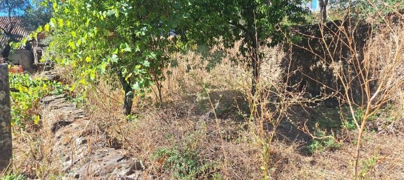 4 غرف نوم منزل في Castelo Branco, Portugal رقم 43868 15