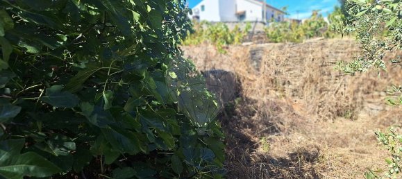 4 غرف نوم منزل في Castelo Branco, Portugal رقم 43868 14