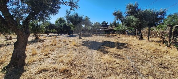 4 غرف نوم منزل في Castelo Branco, Portugal رقم 43868 16