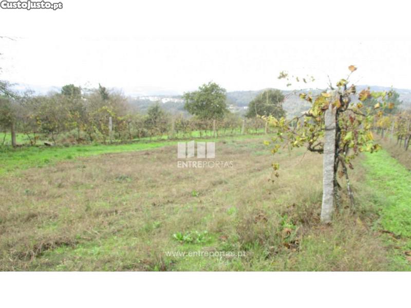 11000m² Land in Marco de Canaveses, Portugal No. 55438