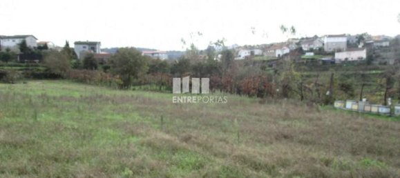 قطعة أرض في Marco de Canaveses, Portugal 11000متر مربع رقم 55438 3