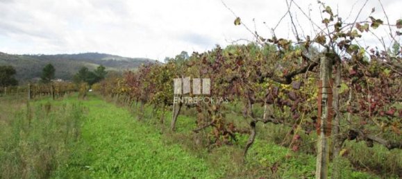 قطعة أرض في Marco de Canaveses, Portugal 11000متر مربع رقم 55438 5