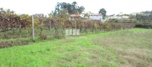 قطعة أرض في Marco de Canaveses, Portugal 11000متر مربع رقم 55438 2