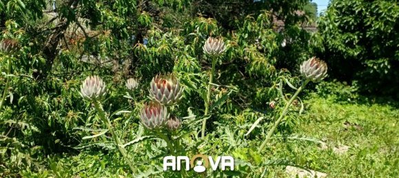 5 chambres Maison à Saverne, France No. 350271 8