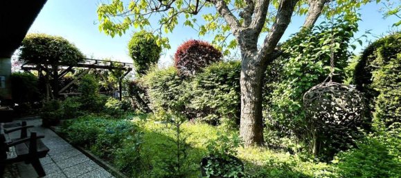 4 rooms Bungalow in Trausdorf an der Wulka, Austria No. 133331 18