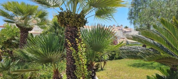 Apartamento T2 em Torrevieja, Spain N.º 182932 4