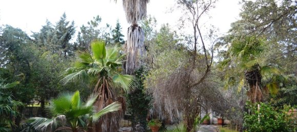 5 Schlafzimmer Villa in Chalkidiki, Greece, Nr. 1239 14