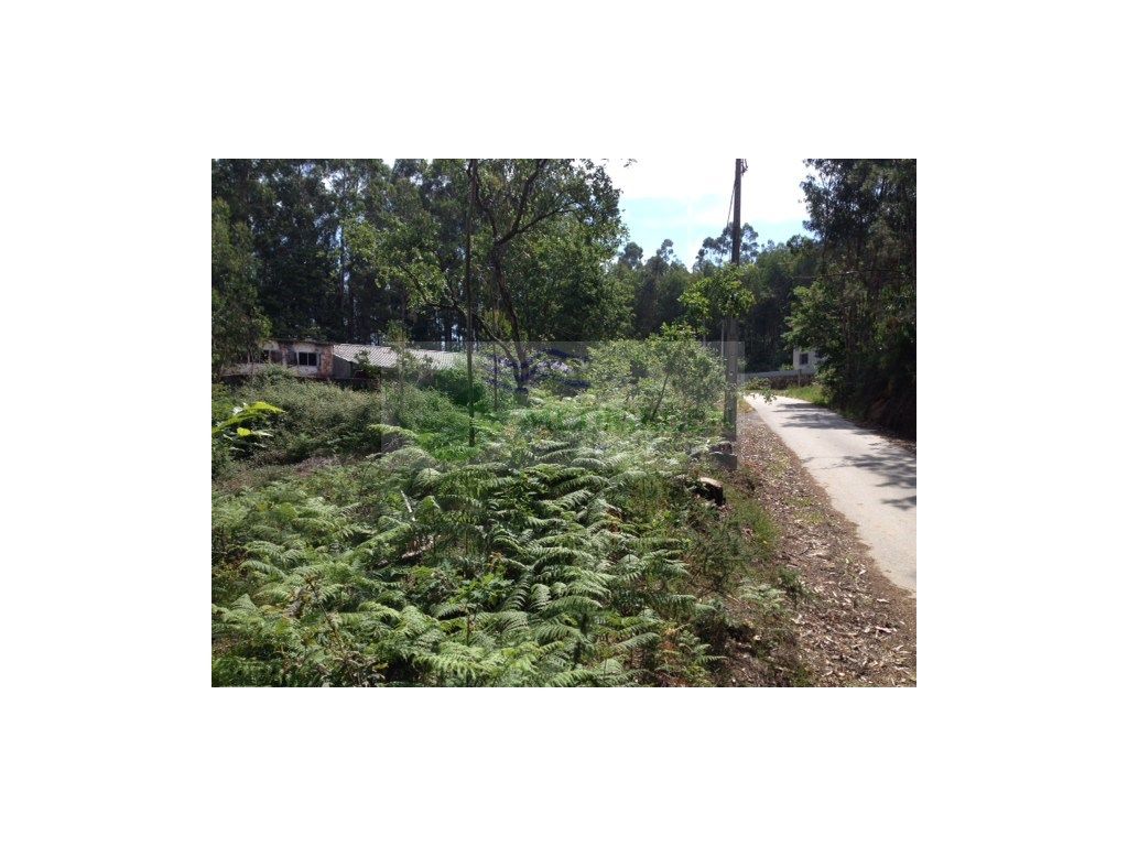 1400m² Land in Pessegueiro do Vouga, Portugal No. 257530