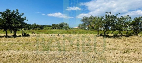 1190m² Land in Caminha, Portugal No. 50603 8