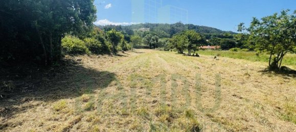 1190m² Land in Caminha, Portugal No. 50603 5