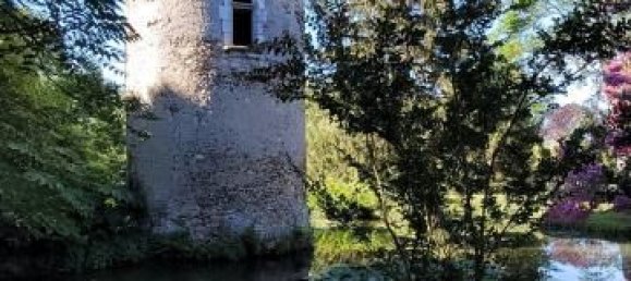 3 غرف نوم قلاع في Romorantin-Lanthenay, France رقم 73612 6