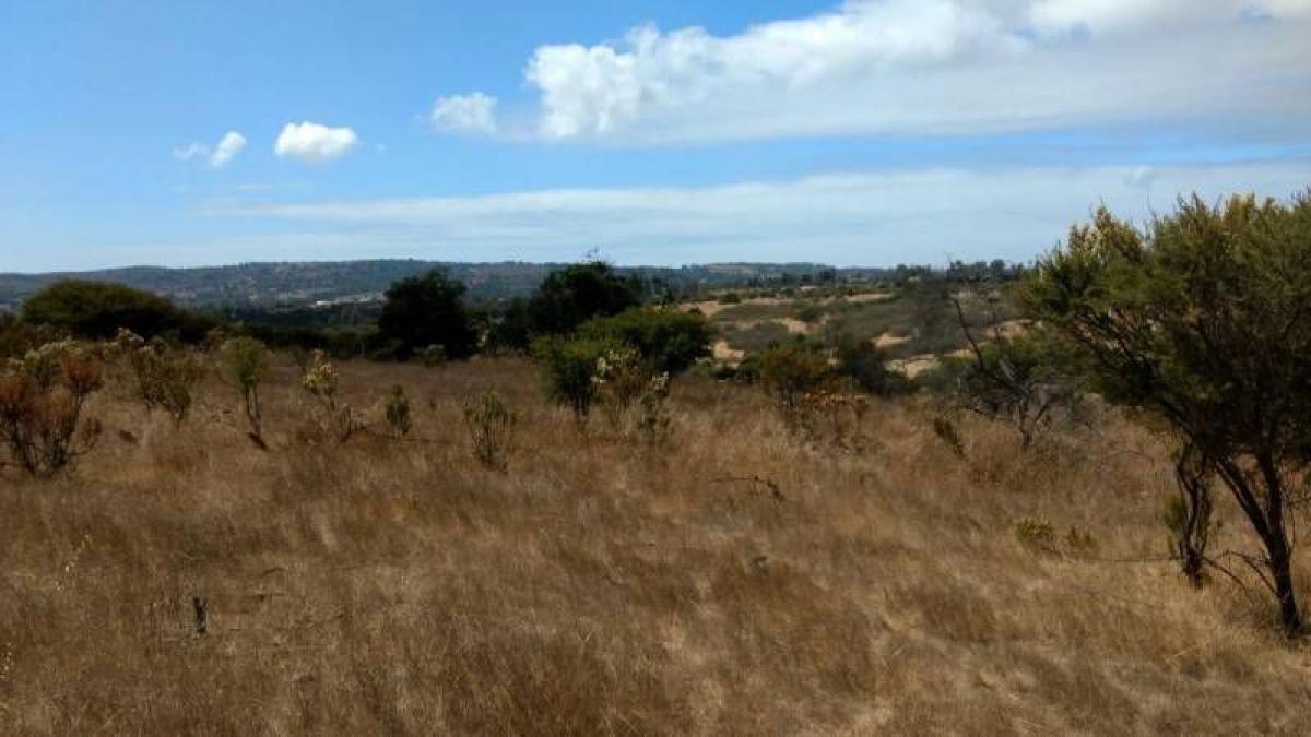 Terreno em Valparaiso, Chile N.º 1268