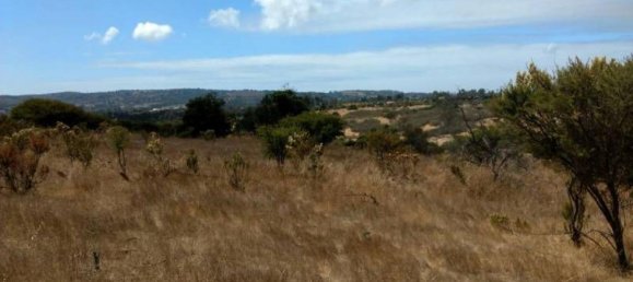 Terreno em Valparaiso, Chile N.º 1268 2
